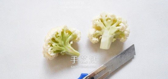 花菜手工制作贵宾犬 简单又可爱花菜贵宾犬DIY