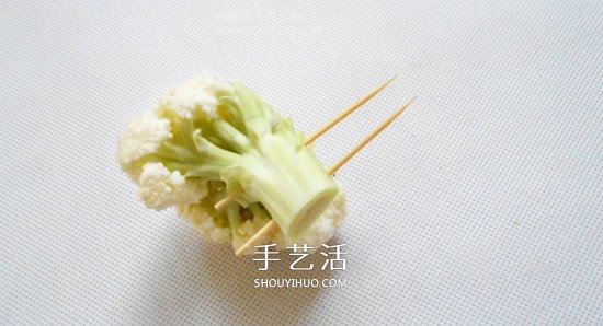 花菜手工制作贵宾犬 简单又可爱花菜贵宾犬DIY