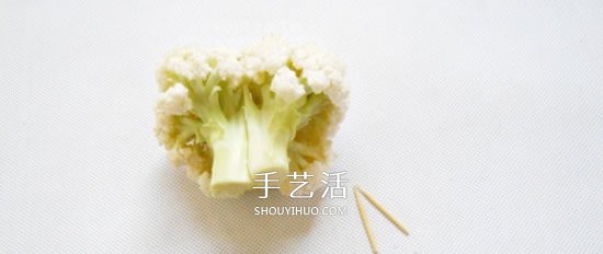 花菜手工制作贵宾犬 简单又可爱花菜贵宾犬DIY