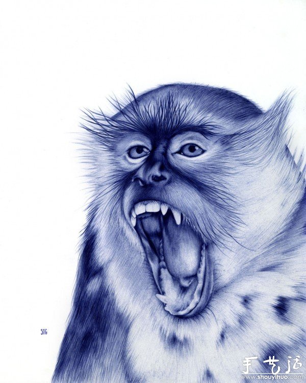 圆珠笔绘制的动物肖像