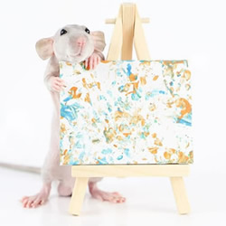 才华横溢的老鼠创作的微型画，被抢购一空！