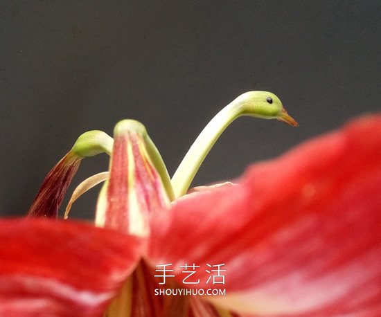 花儿还可以这样玩！创意让花儿变得这么有趣