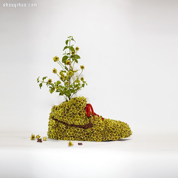 NIKE 球鞋创意DIY 变身漂亮小盆栽