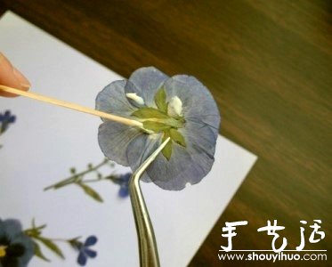 押花手工DIY方法