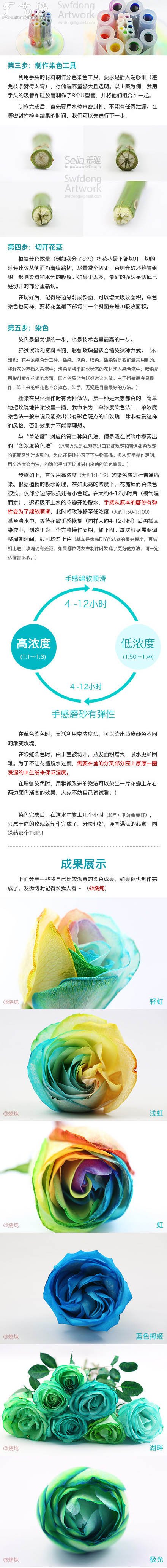 白玫瑰制作彩虹玫瑰的DIY教程