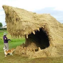 小麦秸秆创意DIY鲨鱼小屋