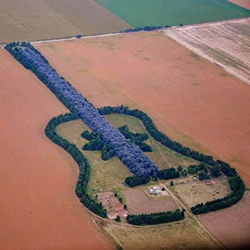 建造巨大吉他庄园