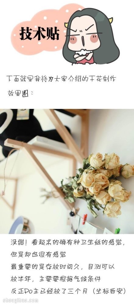 如何制作干花 干花制作方法图解教程