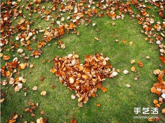扫地也能很诗意 这么DIY让秋天落叶更浪漫！