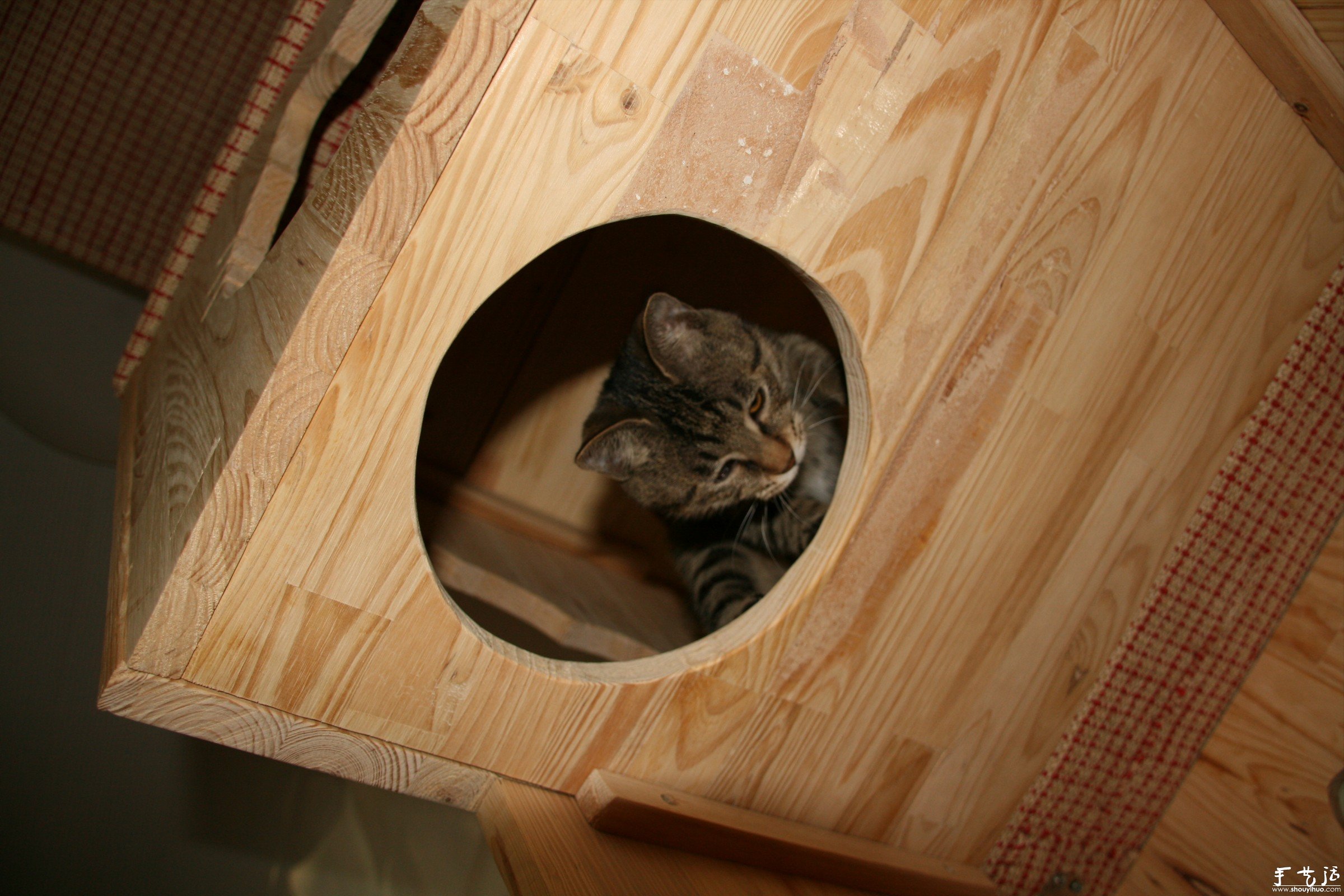 纯木手工DIY的猫窝和猫爬架