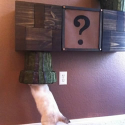 爱猫人士制作的猫咪『超级马里奥』猫爬架