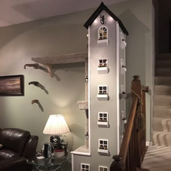 男子在他的起居室里建造了两座超高的猫塔