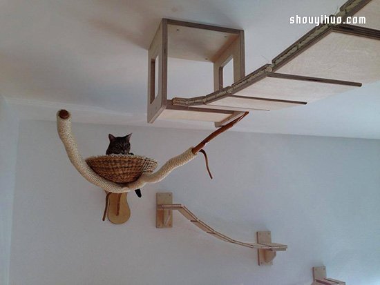 空中乐园般的猫爬架DIY 猫猫大人太幸福了