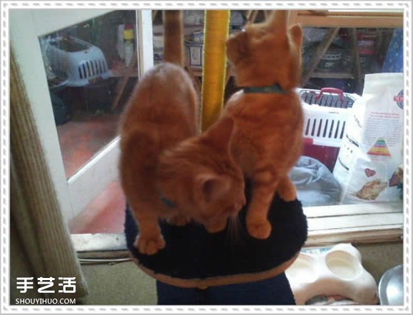 怎么自制猫爬架DIY教程 猫爬架制作方法步骤