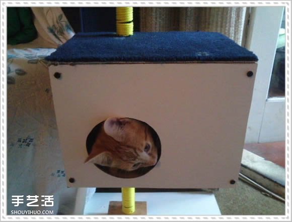 怎么自制猫爬架DIY教程 猫爬架制作方法步骤