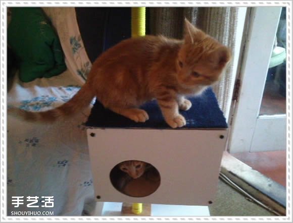 怎么自制猫爬架DIY教程 猫爬架制作方法步骤