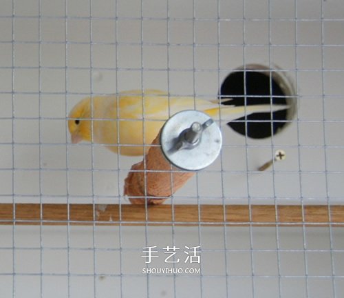 旧书柜改造鸟柜的过程 自制木头鸟柜的方法