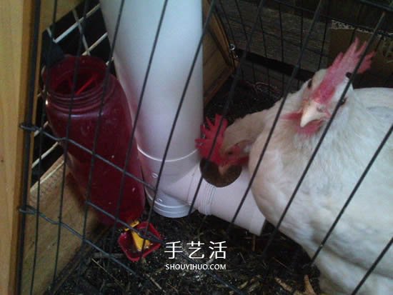 自制T型管道饲料器教程 鸡的喂食器做法图解