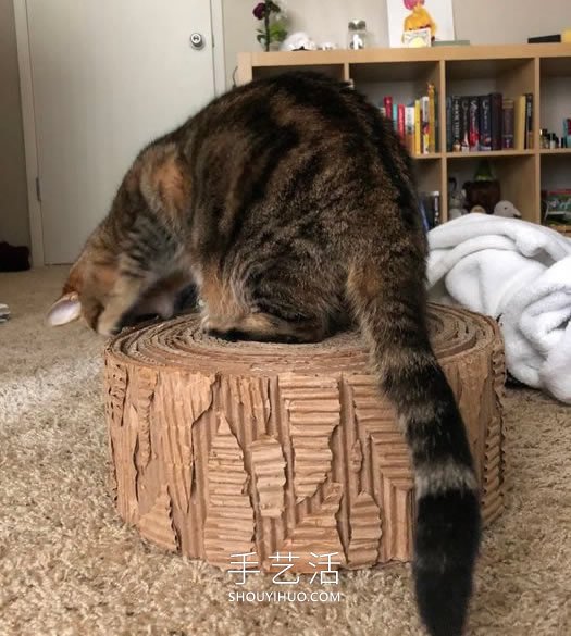 自制猫咪磨爪器 纸板箱再利用不花一分钱！