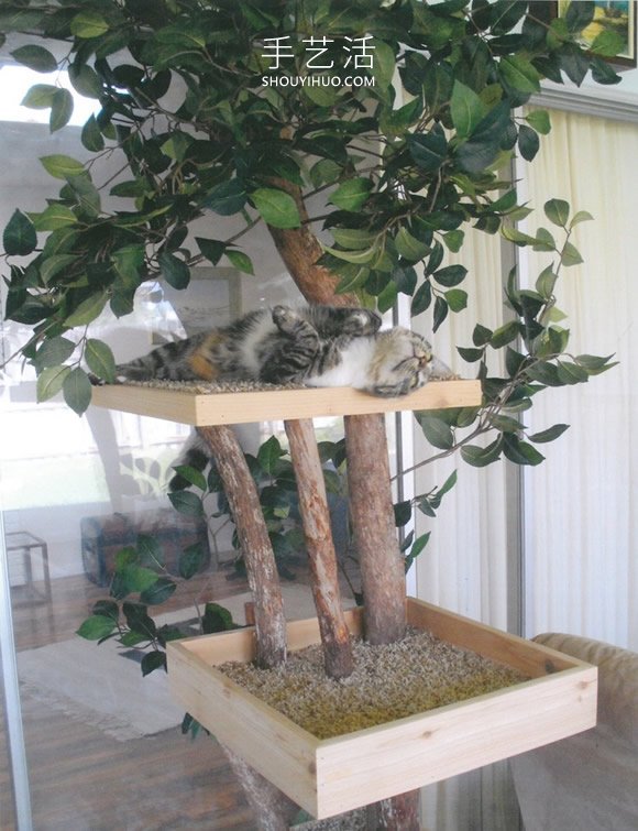 为猫提供逼真户外体验！树木做成的室内树屋