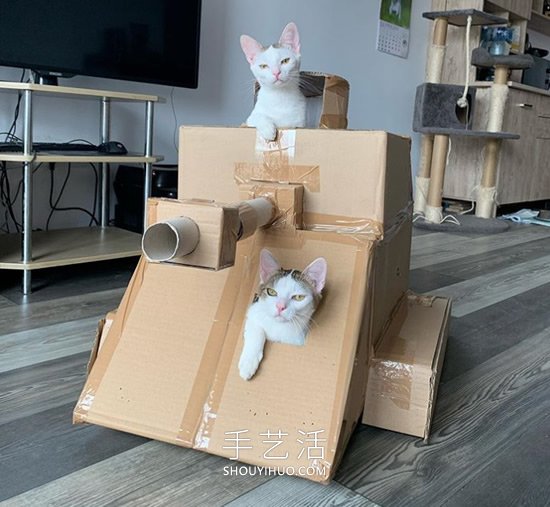 陷入隔离的人们为猫咪制作纸箱战车坦克