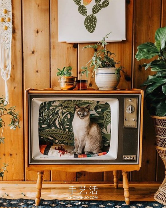 复古旧电视改造DIY，化身猫咪的美丽小窝