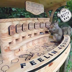 木工为松鼠制作了一个小酒吧，用来分配坚果！