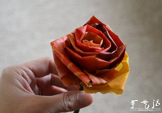 火红枫叶手工制作的玫瑰
