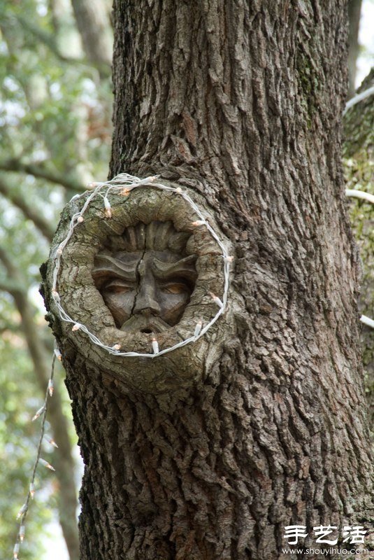 树木雕刻 雕塑艺术与自然的融合