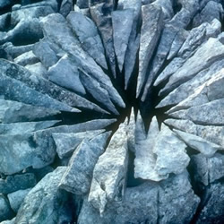 Andy Goldsworthy的大地雕塑艺术作品