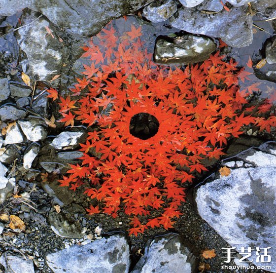 Andy Goldsworthy的大地雕塑艺术作品