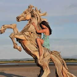 浮木雕刻的逼真动物雕塑
