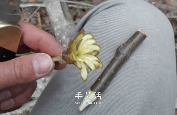 简单手工树枝雕刻做花的方法图解教程