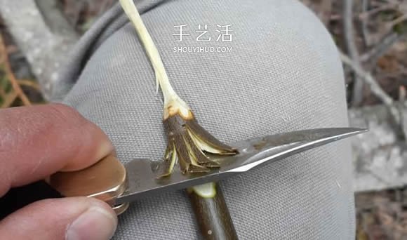 简单手工树枝雕刻做花的方法图解教程