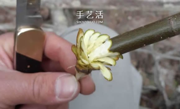 简单手工树枝雕刻做花的方法图解教程