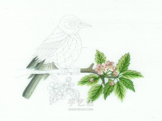 传统花鸟刺绣的绣法图解 漂亮小鸟绣法步骤图