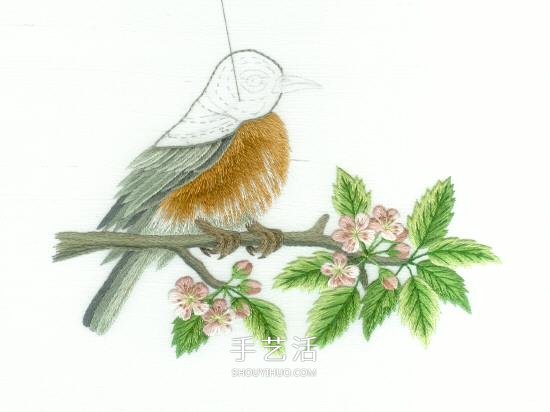 传统花鸟刺绣的绣法图解 漂亮小鸟绣法步骤图