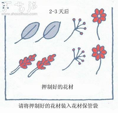 小清新押花相框的制作方法