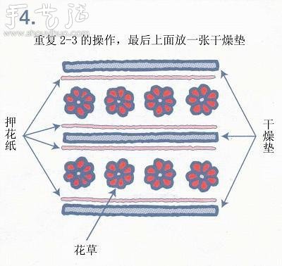 小清新押花相框的制作方法