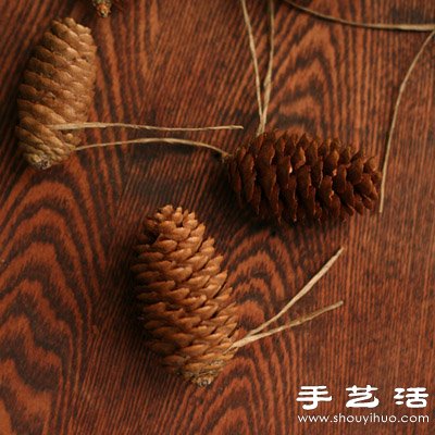 松子变废为宝 DIY漂亮节日装饰品