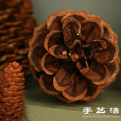 松子变废为宝 DIY漂亮节日装饰品