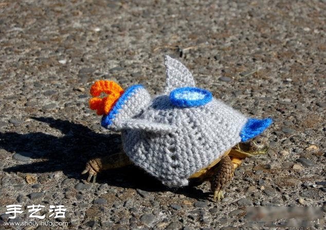 创意针织：假如给乌龟穿上衣服！