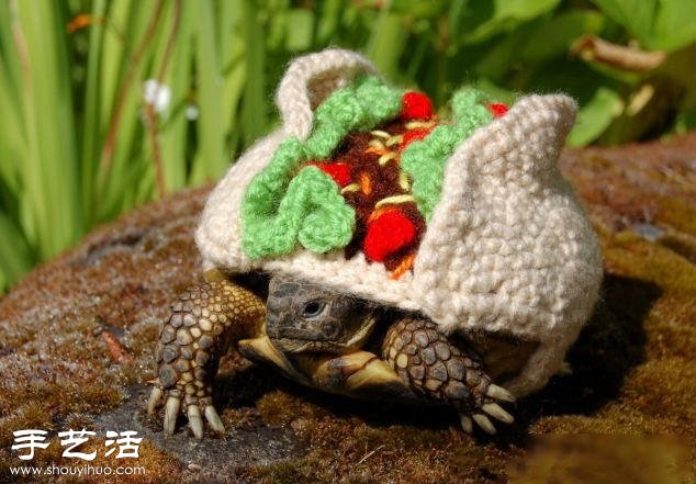 创意针织：假如给乌龟穿上衣服！