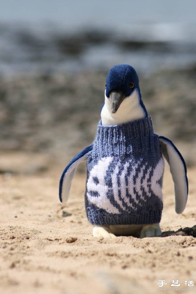 给企鹅穿上针织毛衫
