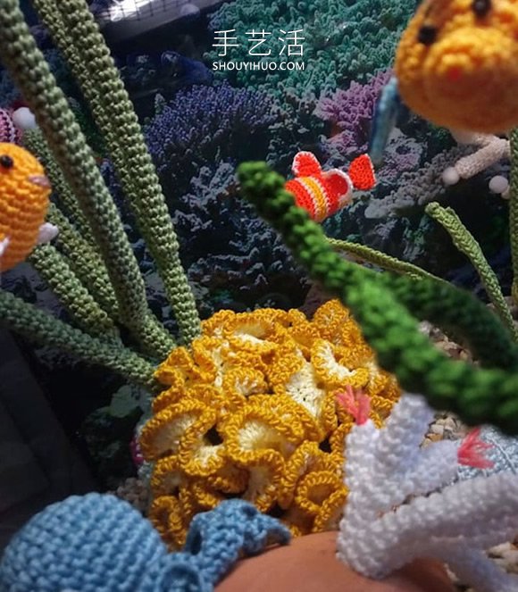 她钩织海洋生物，制作出一个逼真的水族馆