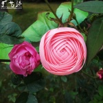 编织带手工编织漂亮鲜花教程