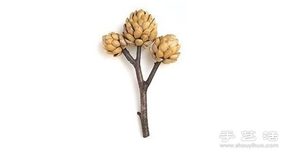 开心果壳+树枝+橡皮泥 DIY装饰坚果树