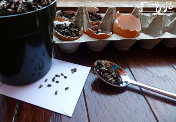 蛋壳DIY小盆栽的培养皿