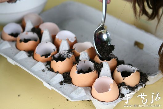 鸡蛋壳巧利用DIY迷你盆栽