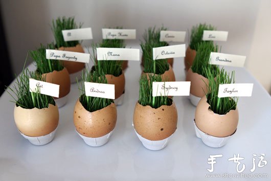 鸡蛋壳巧利用DIY迷你盆栽
